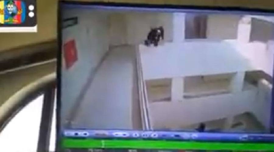 فيديو: معلم في صنعاء ينتحر من الطابق العاشر بعد أن ضاقت به سبل العيش