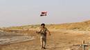 الجيش يحرر مناطق جديدة في ميدي بحجة والمخا غرب تعز