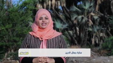 البحث العلمي في اليمن وغياب التأثير، والخط اليدوي مهنة تقاوم الاندثار | تقديم:سارة جمال الدين