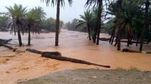 الأمم المتحدة: نزوح أكثر من 500 أسرة متضررة جراء إعصار ميكونو في سقطرى