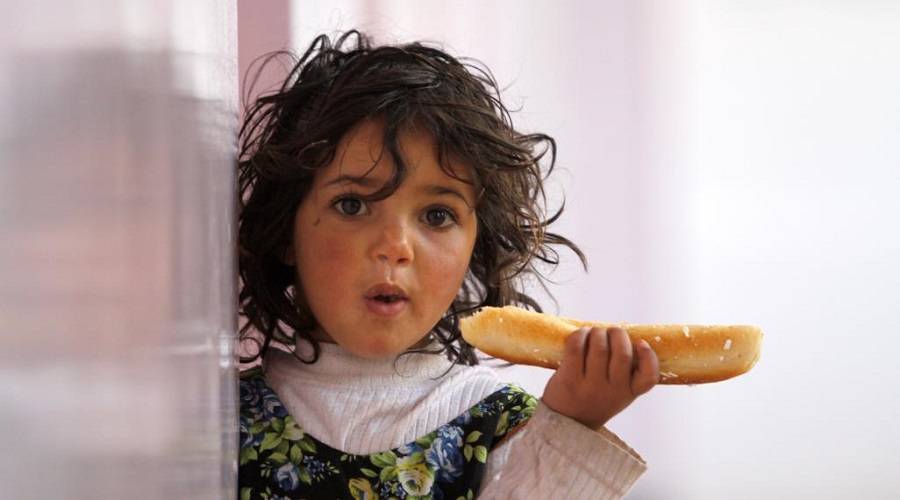 تحذير أممي: خطر المجاعة يهدد ملايين اليمنيين