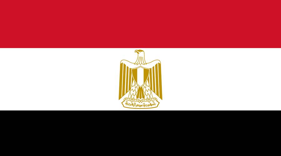 مصر تعبر عن خيبة أملها من تقرير المفوض السامي الخاص باليمن