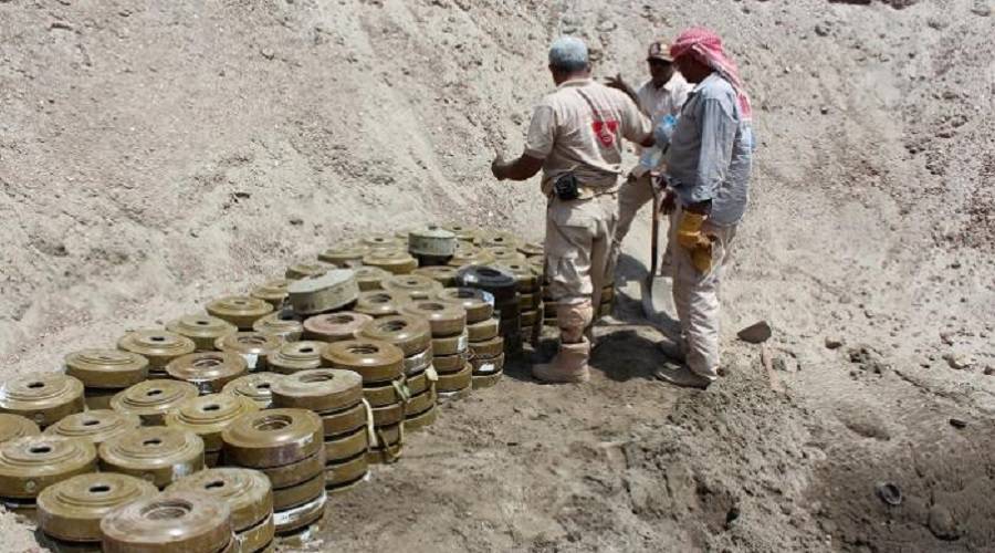 خبيرة دولية: ألغام الحوثيين سلاح فتاك يقتل الآف اليمنيين