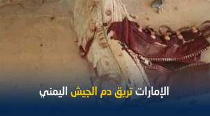 ماذا ينتظر الرئيس هادي وقد أراقت الامارات دم جنوده؟