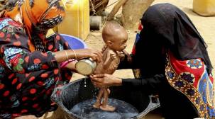يمنيون يأكلون أوراق الشجر حتى أصبحت عظامهم ظاهرة &quot;فيديو&quot;